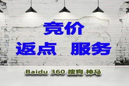 sem百度竞价实战：成功案例解析